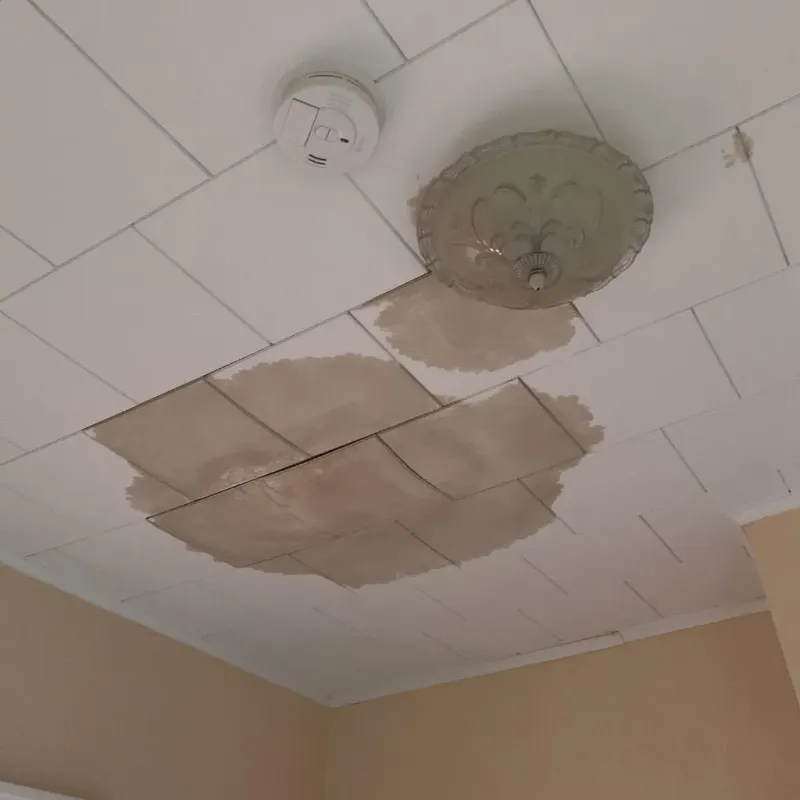 Ceiling Water Damage Repair in Otterbein, IN