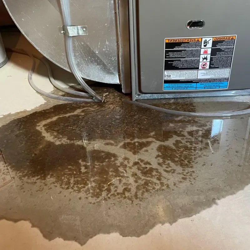 Pipe Burst and Leak Restoration in Otterbein, IN